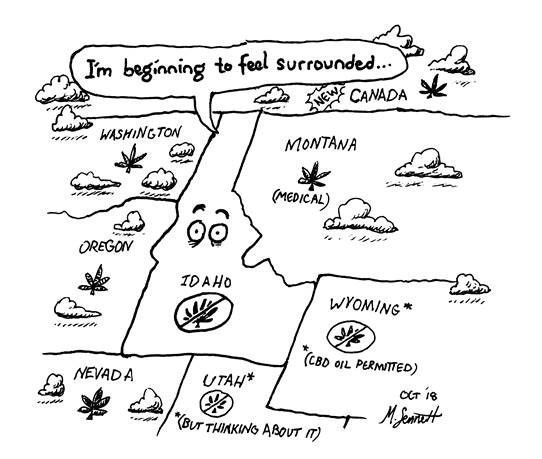 Sunday cartoon